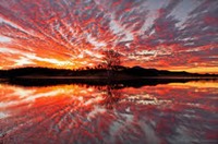 images-1